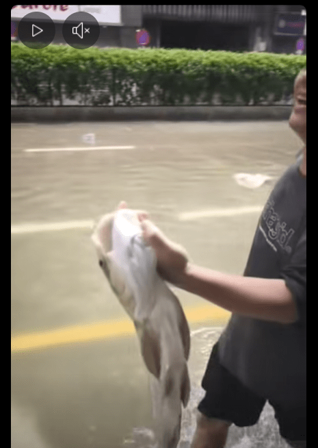 不少人在10號風球下成功捕魚加餐。FB圖片