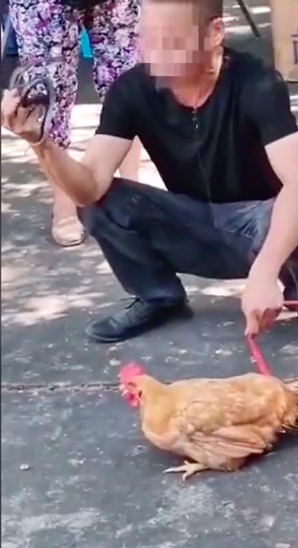 網圖