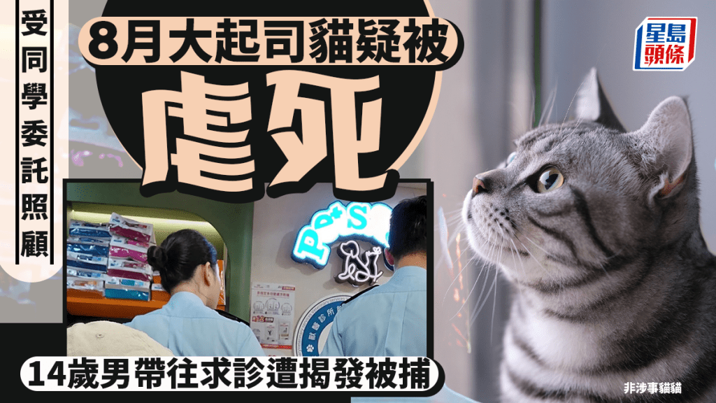 女同学交托照顾8月大起司猫 14岁男生疑虐待致死 带往求诊遭揭发被捕