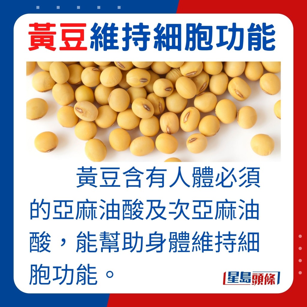 黃豆還含有人體必須的亞麻油酸及次亞麻油酸,能幫助身體維持細胞功能。