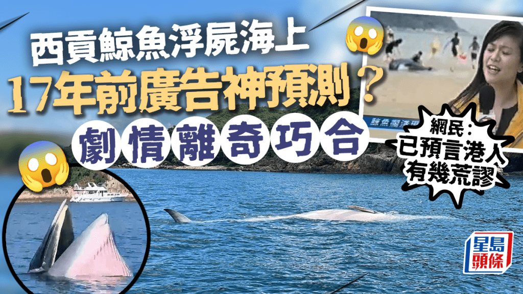 西貢鯨魚浮屍海上17年前廣告神預測？網民：已預言港人有幾荒謬｜Juicy叮