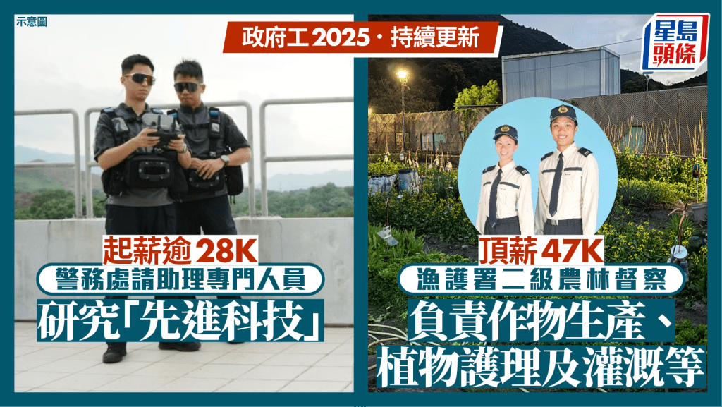 政府工空缺2025︱警務處28K請助理專門人員 漁護署二級農林督察頂薪47K 即睇申請方法!