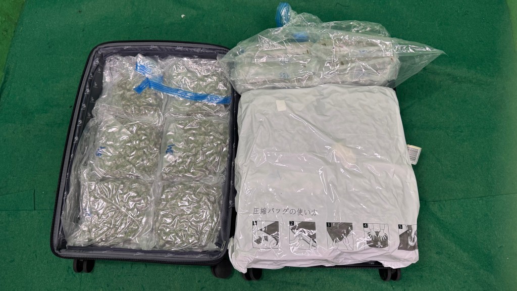 19歲英籍男泰國經香港回國 香港海關截查揭行李藏820萬元大麻花