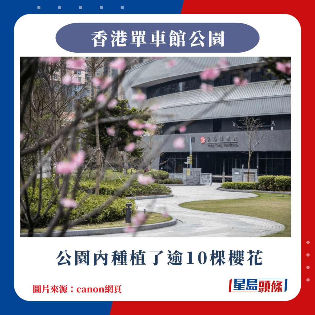 香港10大賞櫻熱點｜公園內種植了逾10棵櫻花