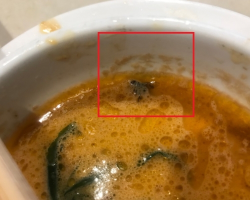 民眾指「有一隻煮的軟爛的蒼蠅」。網圖