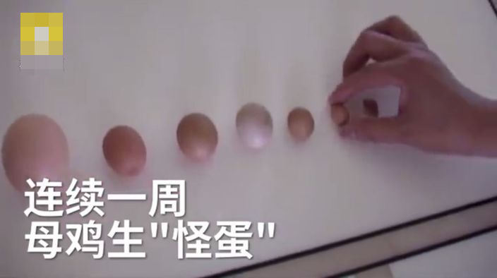 網圖