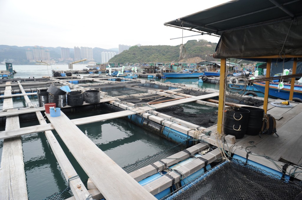 傳統觀念認為捕魚日曬雨淋、長滿老繭。資料圖片