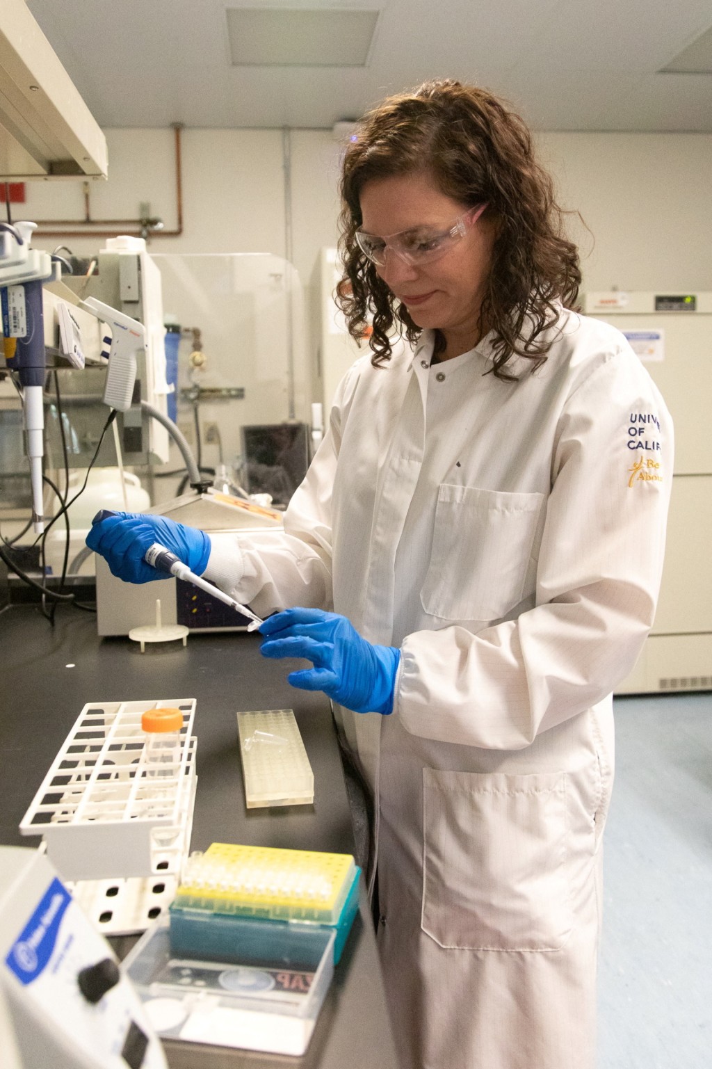 遗传学家在加州大学一个研究Y 染色体的实验室里工作。 路透社