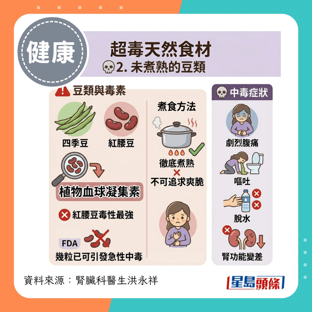 超毒天然食材｜2. 未煮熟的豆類（如四季豆、紅腰豆）