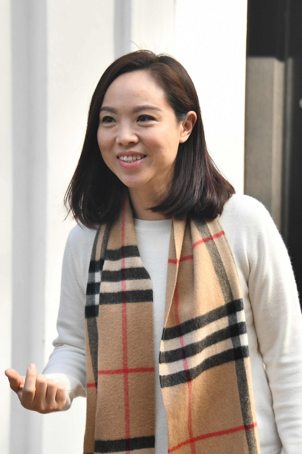 新民党立法会议员陈家佩。资料图片
