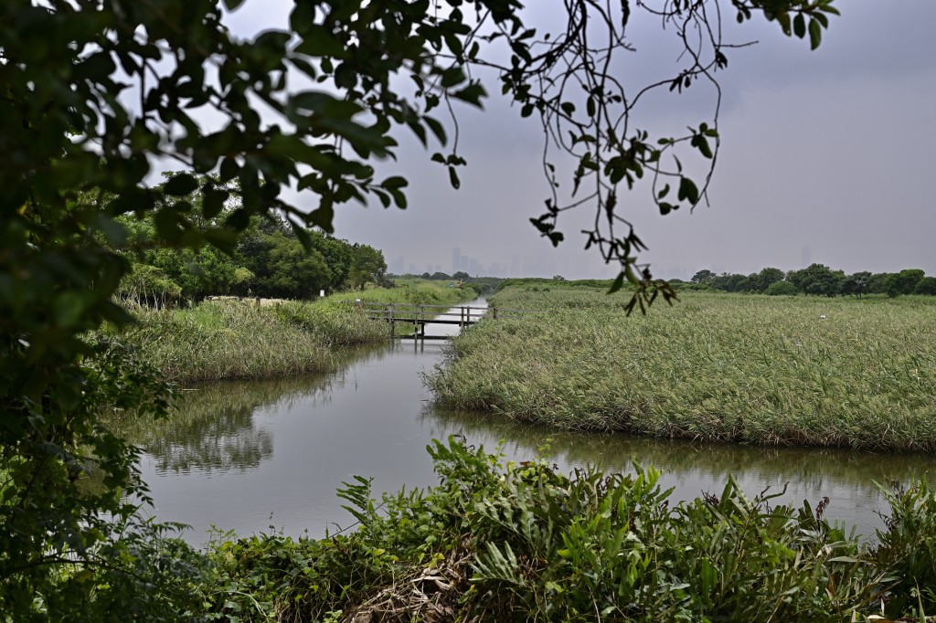 保安局向立法會提交文件，計劃修訂《邊境禁區令》取消米埔部分邊境禁區。資料圖片