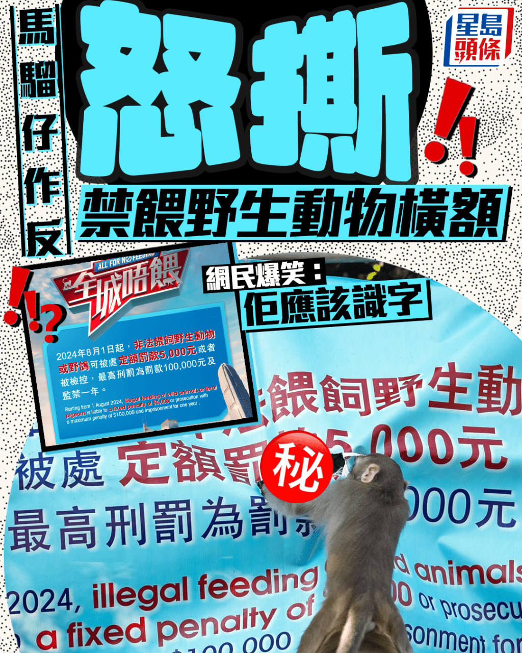 搵食艱難 馬騮仔作反? 怒撕禁餵野生動物橫額 網民爆笑:佢應該識字 搵食艱難 馬騮仔作反? 怒撕禁餵野生動物橫額 網民爆笑:佢應該識字