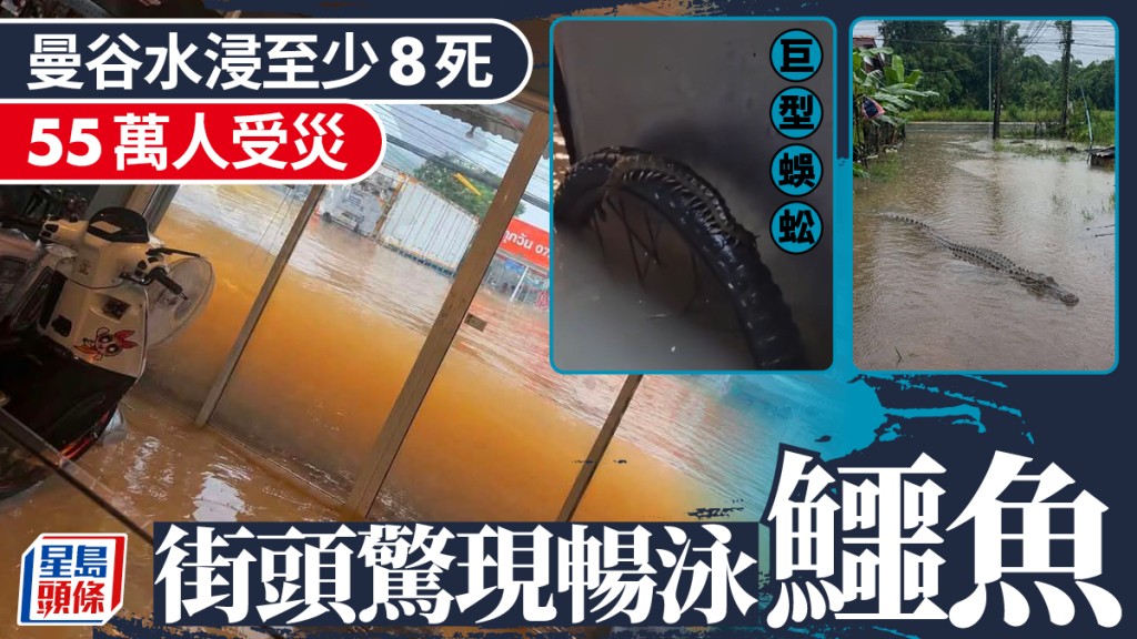 曼谷水浸｜致8死180萬人受災   鱷魚出逃民眾街頭衝浪