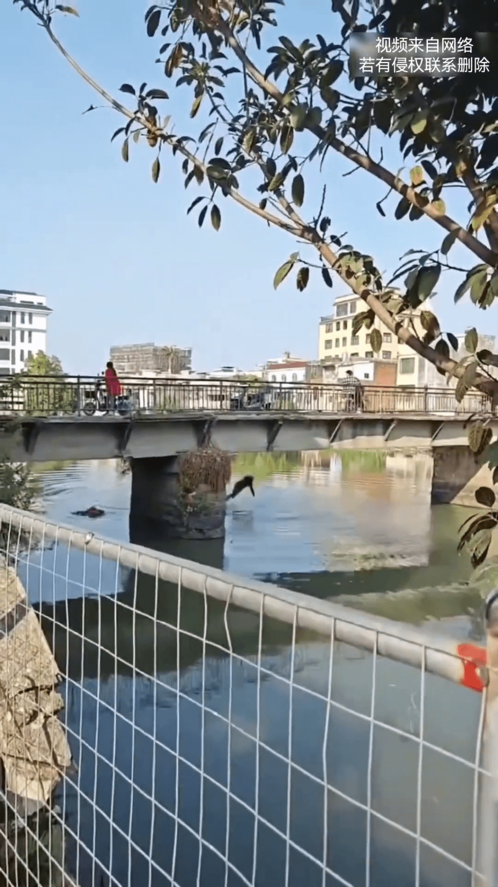 男子隨後也跳下河中。 男子隨後也跳下河中。