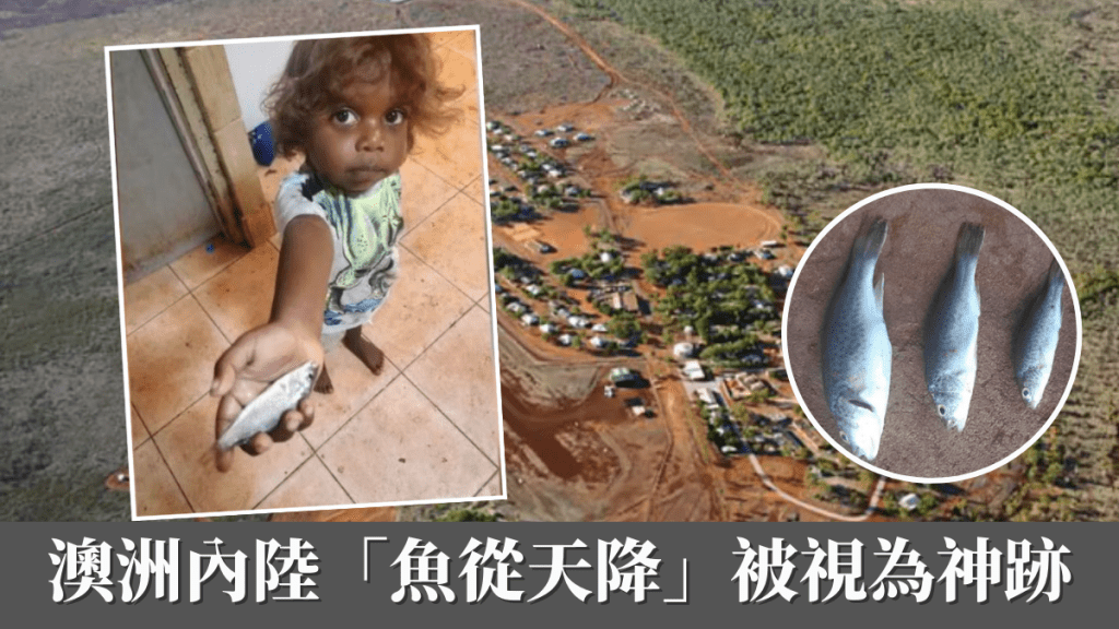 澳洲內陸「魚從天降」被視為神跡 氣象專家解構落魚原因