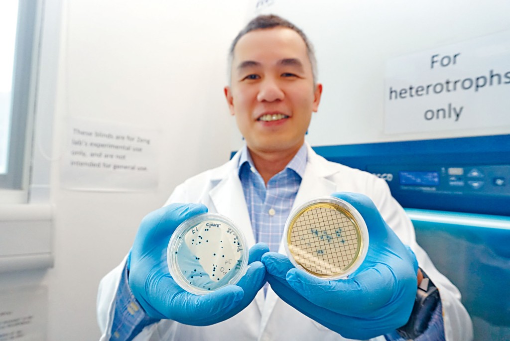 科大海洋科學系副教授劉振鈞發現，本港水域常見的「大腸桿菌」實際為近親二型，相信研究有助監測水質。