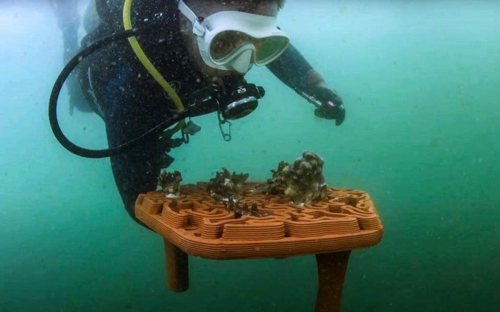 「活化珊瑚行動」於期内迎來重要里程碑，移植首批佔7.5 平方米的珊瑚礁盤，並開設「活化珊瑚中心」。（信和置業提供）