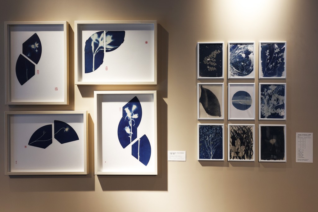 展覽以咖啡融入環保的藍曬藝術為創作媒介，帶來一系列以花卉及香港情懷為靈感的作品。（圖片來源：官方提供）