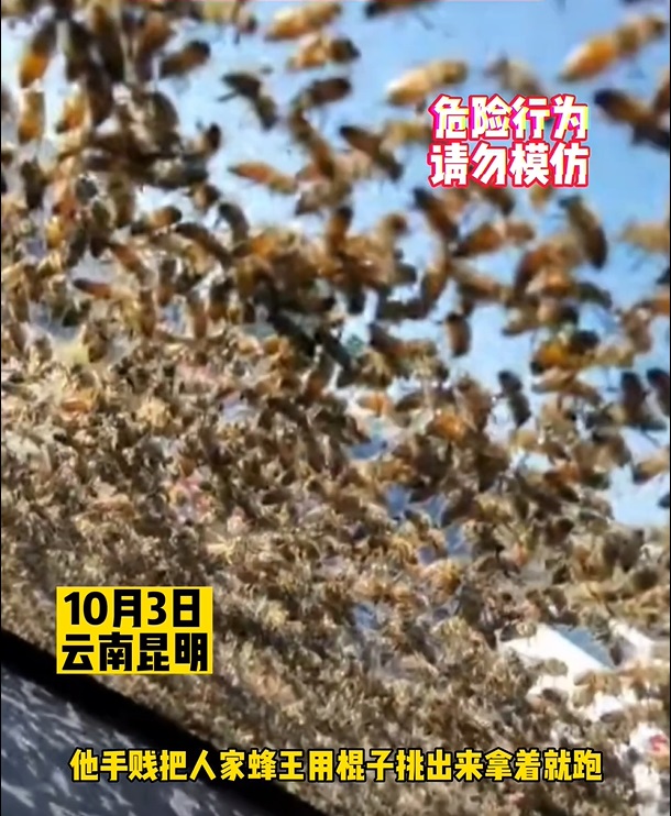 王先生的同行朋友將野外的蜂王帶走了，導致大批蜜蜂追趕。網上圖片