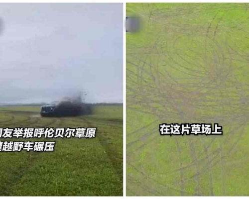 越野車在大草原上穿行留下數圈車痕。網圖