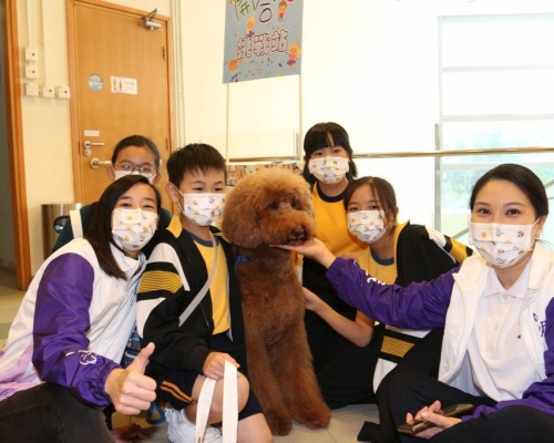 計劃首年有6間學校參與，校內「寵物角」分別飼有小貓、龜、魚、松鼠等動物。警方提供