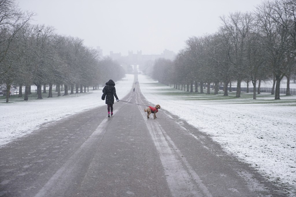 伯克郡溫莎城堡的長途步道上降雪，一個人在清晨遛狗。AP
