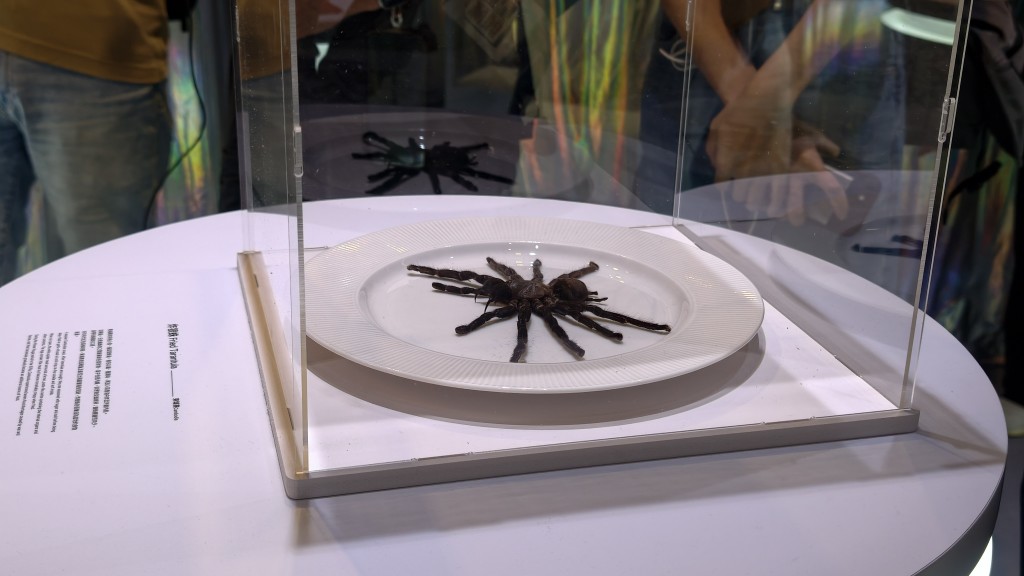 炸狼蛛。 炸狼蛛。