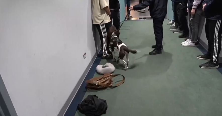 缉毒犬揭发女子身上藏有毒品。