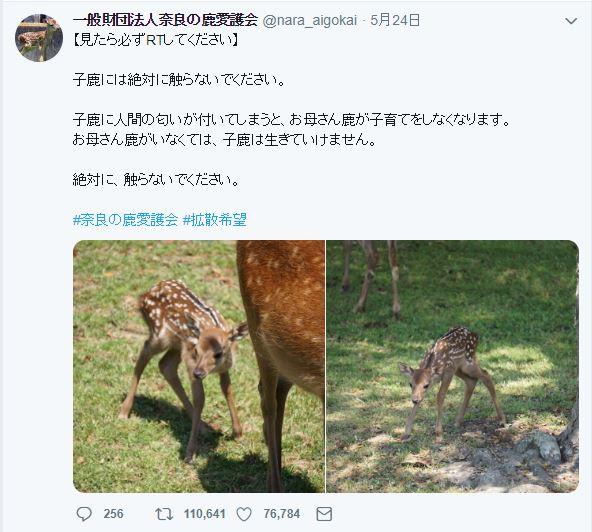 截至目前已有超过11万人分享相关帖文。网图