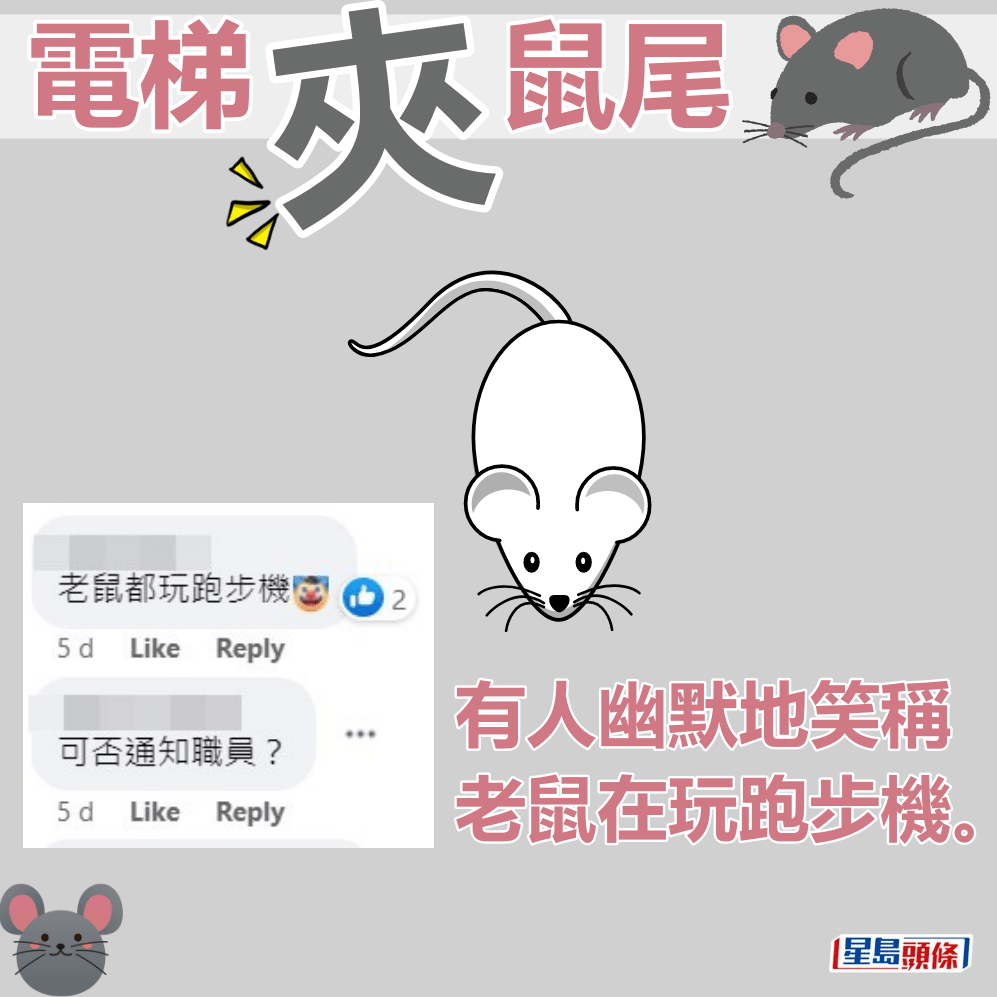 有人幽默地笑称老鼠在玩跑步机。fb“屯门友”截图