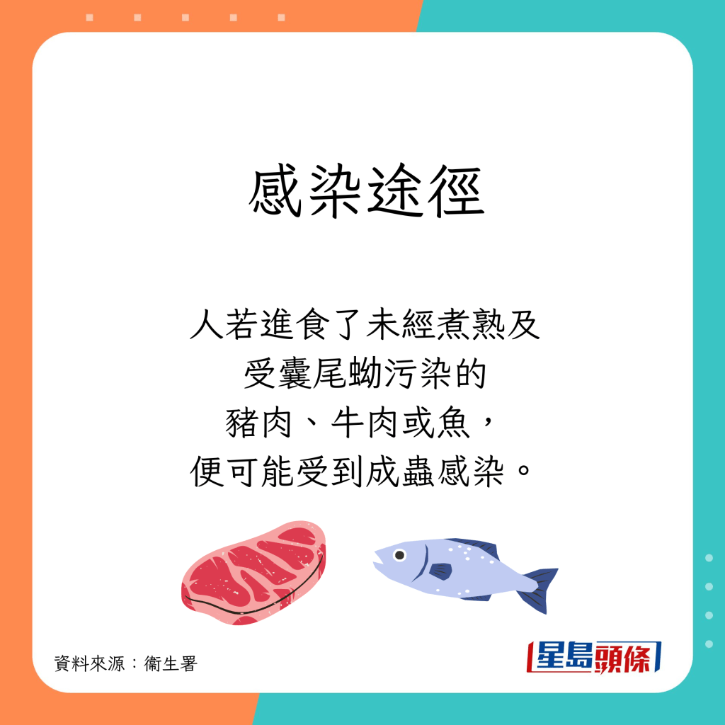人若进食了未经煮熟及受囊尾蚴污染的猪肉、牛肉或鱼，便可能受到成虫感染。