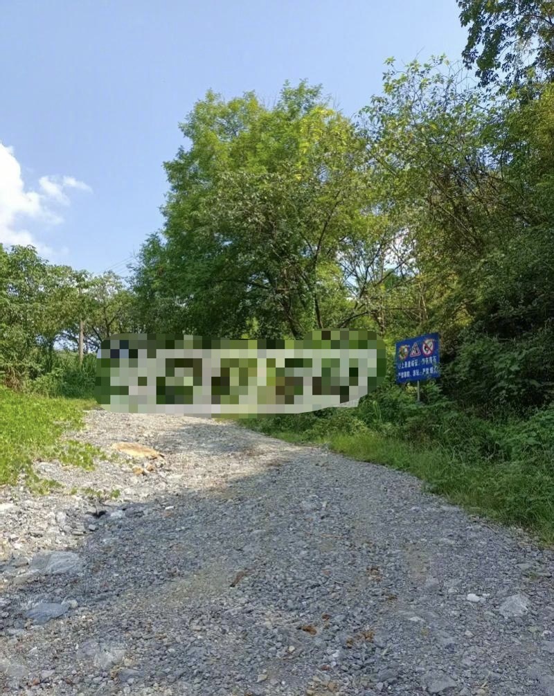事發路段。南方都市報
