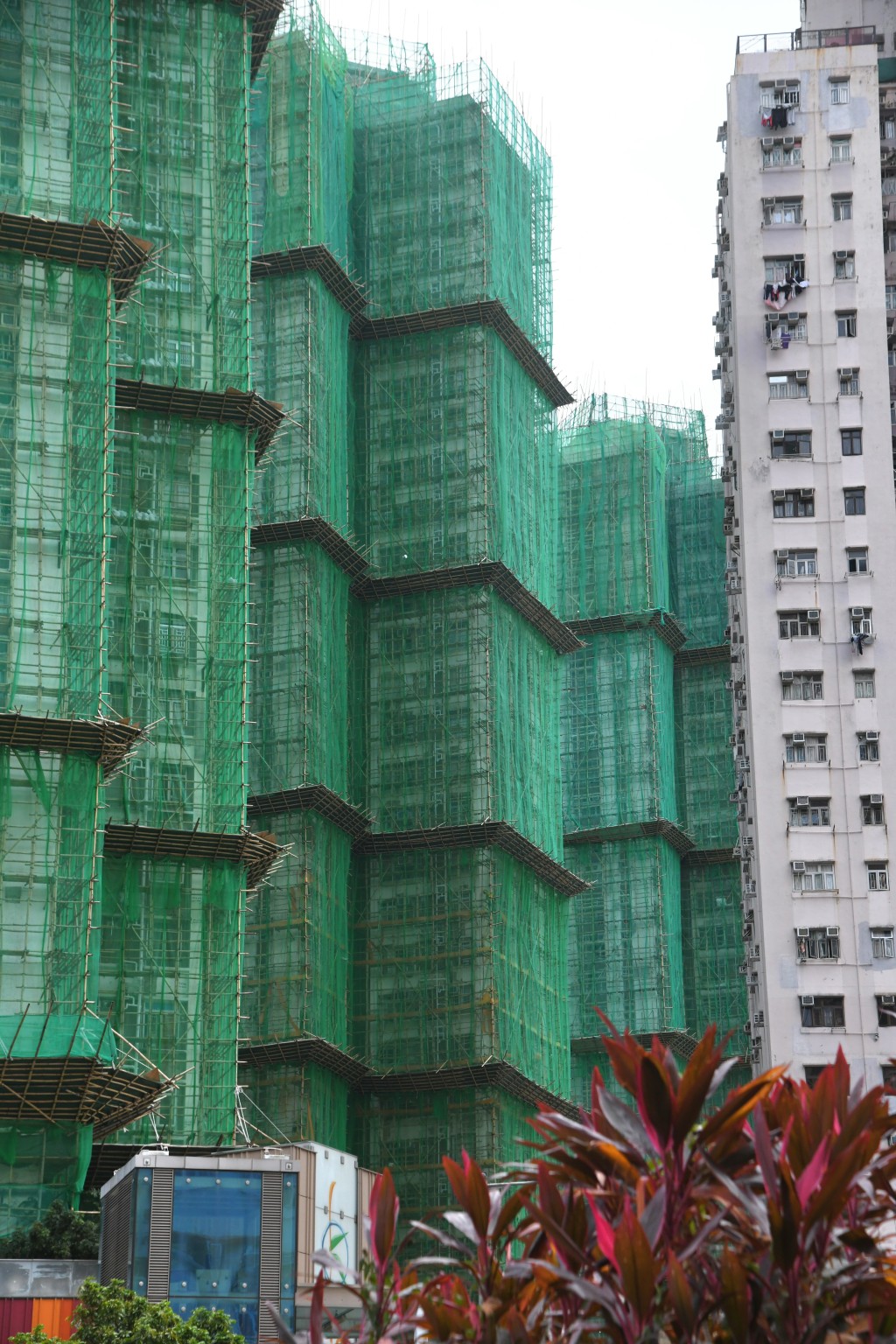 承建商今早(2日)開始拆除D座棚網,更有棚工透露將拆除屋苑所有棚網。 承建商今早(2日)開始拆除D座棚網,更有棚工透露將拆除屋苑所有棚網。