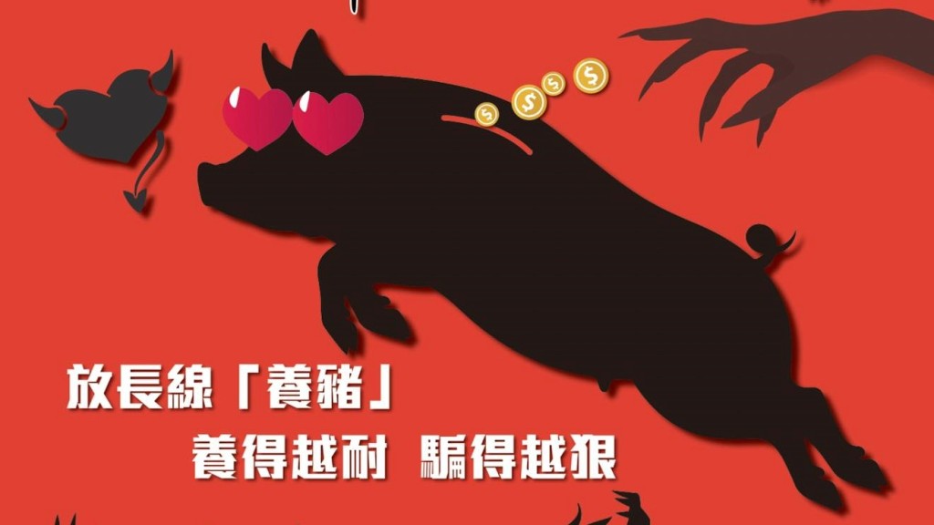 「新加坡商人」网恋中年妇 讹称投资酒店高回报 呃走$260万