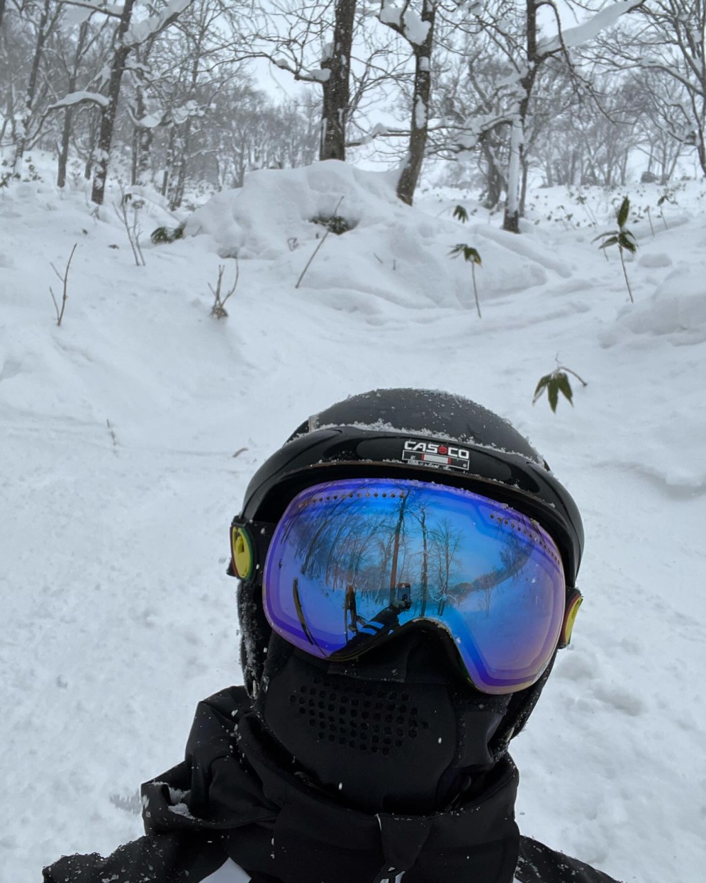 苏民峰尤其爱到各地滑雪。