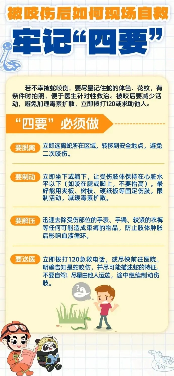 遇到蟒蛇怎麼辦? 中國消防 遇到蟒蛇怎麼辦? 中國消防