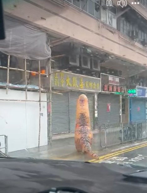 除了將軍澳有巨型熊貓公仔在風暴下橫行外，在 facebook群組「大埔 TAI PO」，有網民上載從車 上拍攝的短片，見到有人穿上暴龍裝冒雨過馬路 的奇景。fb「大埔 TAI PO」截圖