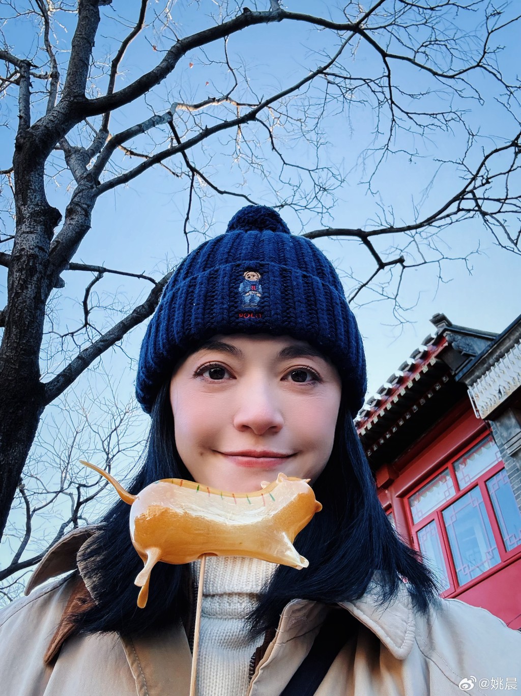 这是姚晨的第二段婚姻，她的前夫是大学同学、演员凌潇肃。