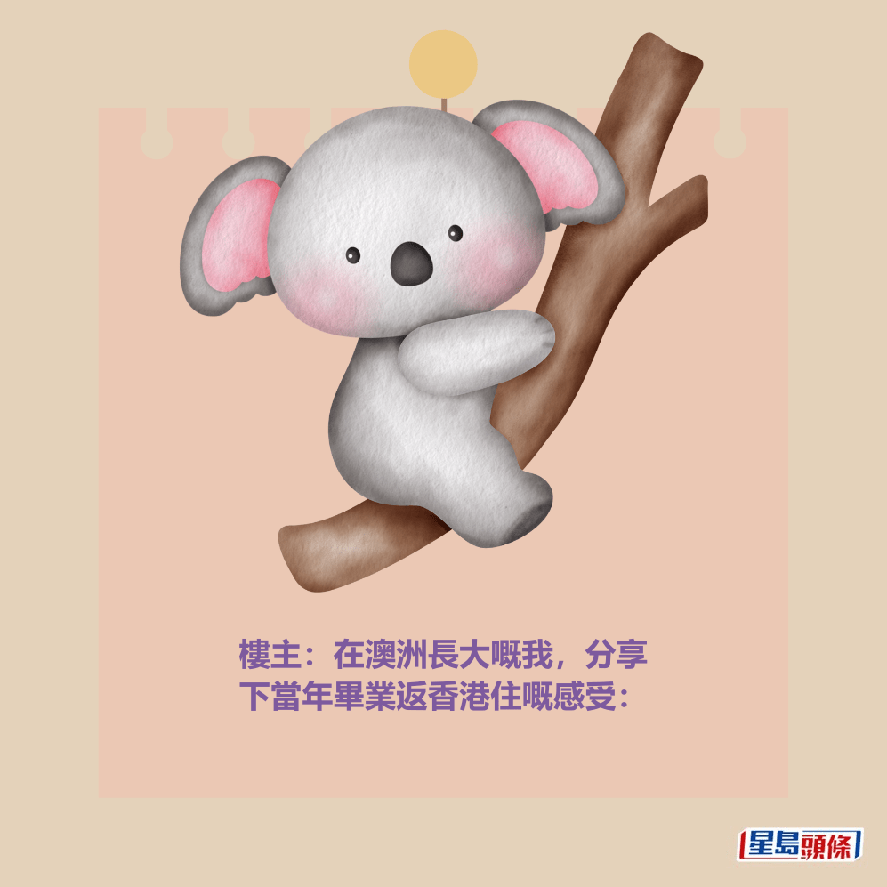 樓主:在澳洲長大嘅我,分享 下當年畢業返香港住嘅感受: 樓主:在澳洲長大嘅我,分享 下當年畢業返香港住嘅感受: