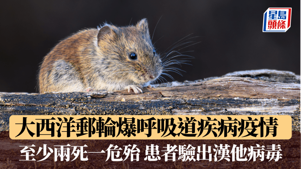 大西洋邮轮爆呼吸道疾病疫情　至少两死一危殆　患者验出汉他病毒。路透社