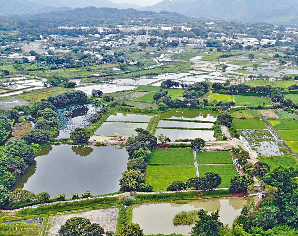 塱原優化工程，將荒廢農地復修成濕地。