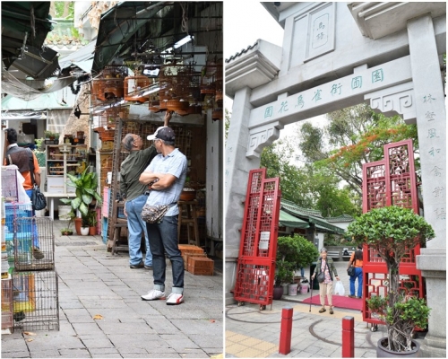 雀鳥花園重開,園內恢復熱鬧。