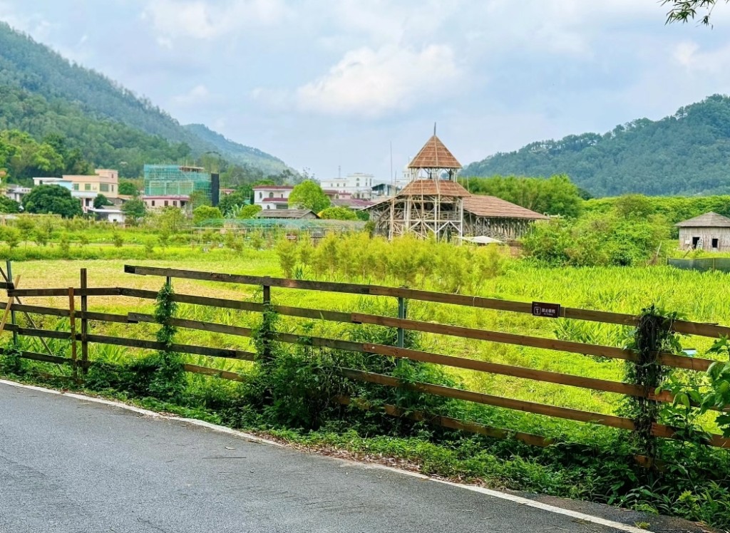 中山亲子旅游2024｜1. 桂南村 沿途一片青绿田园风光，令人心旷神怡。（图片来源：小红书＠ JueTedy）　