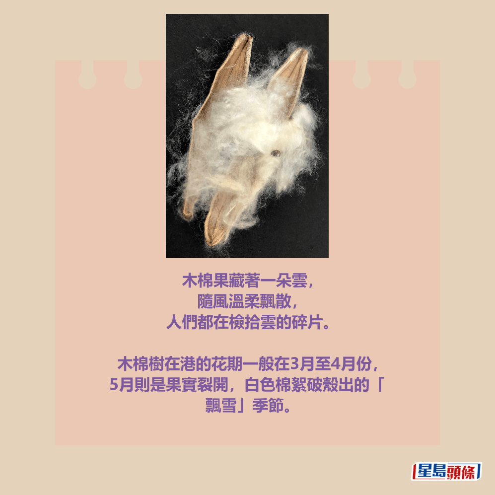 香港科學館網頁截圖