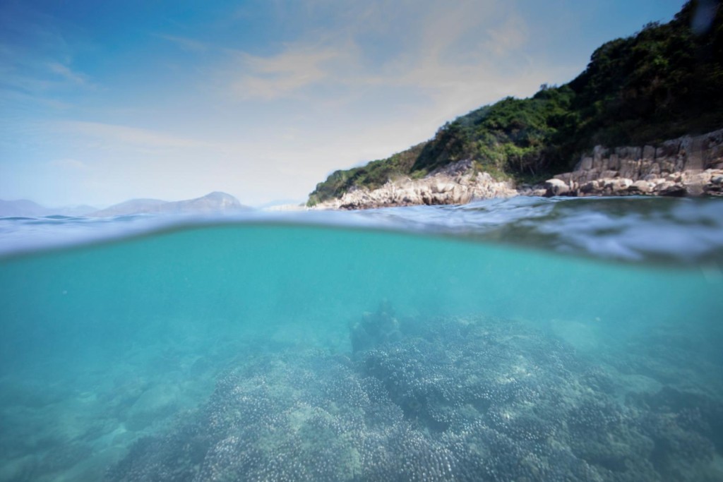 瓮缸湾的珊瑚群落，景色优美。新闻处图片