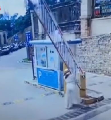 昆明有女子用肉體阻止停車場電閘下降，目的是為免付¥5停車費。大風視頻