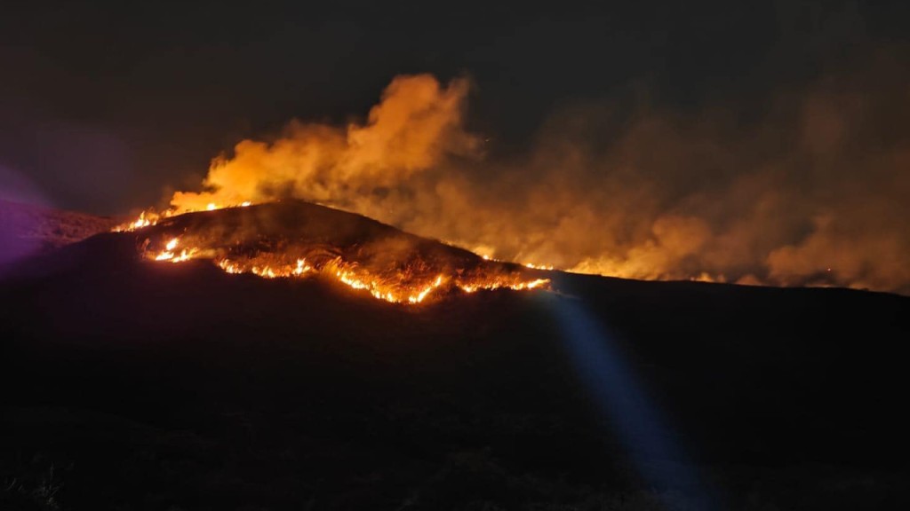 元朗石塘村山火 焚燒逾5小時未救熄 消防籲當區居民關窗
