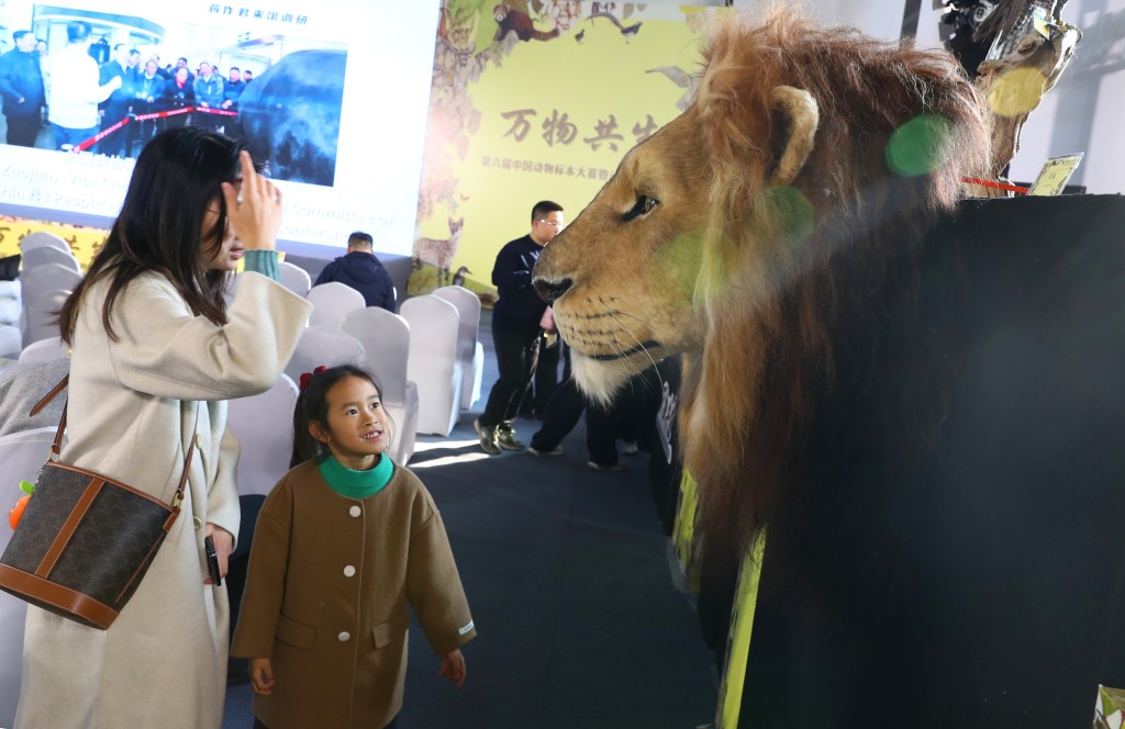 第六届中国动物标本大赛昨日首次移师上海。新华社