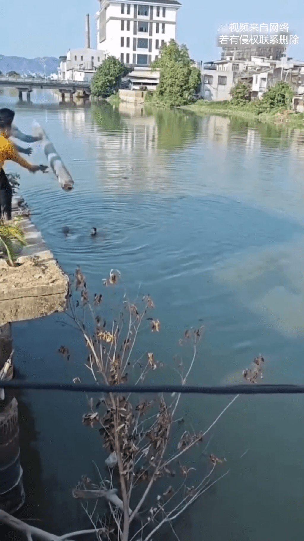 路人伸出援手利用竹竿等工具合力施救。 路人伸出援手利用竹竿等工具合力施救。