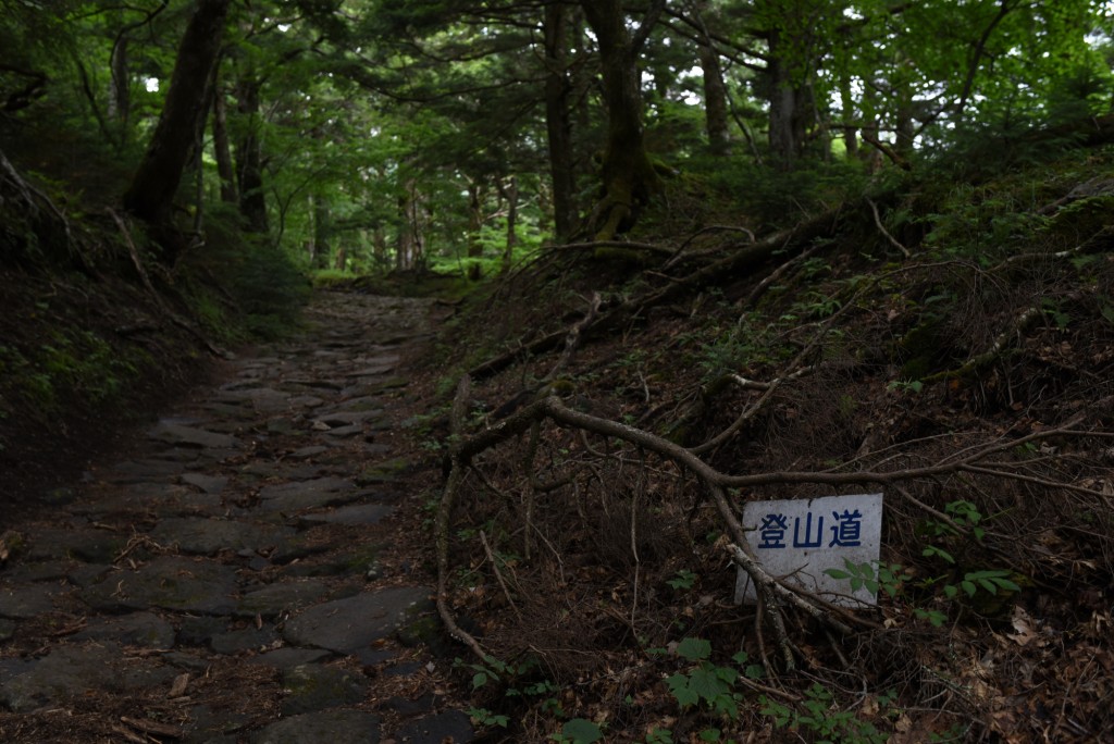 吉田登山路線步道。吉田市觀光網站 吉田登山路線步道。吉田市觀光網站